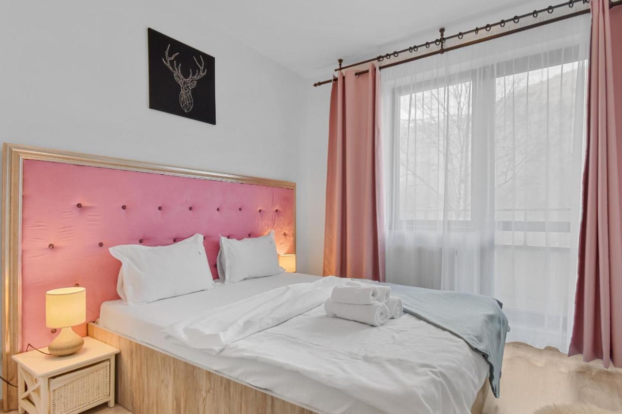 Cri Colina Marei Apartment Sinaia Ngoại thất bức ảnh